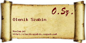 Olenik Szabin névjegykártya
